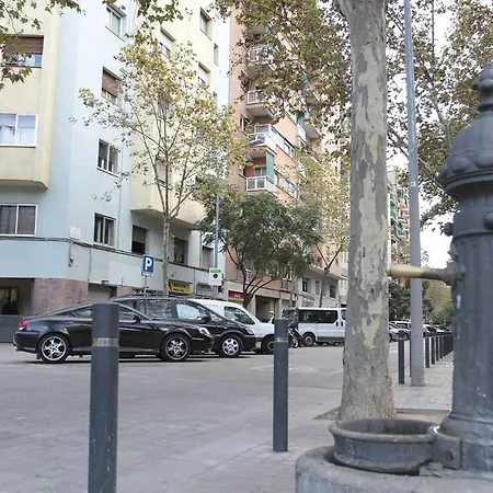 Marti